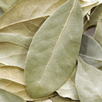 Herb - Bay Leaves